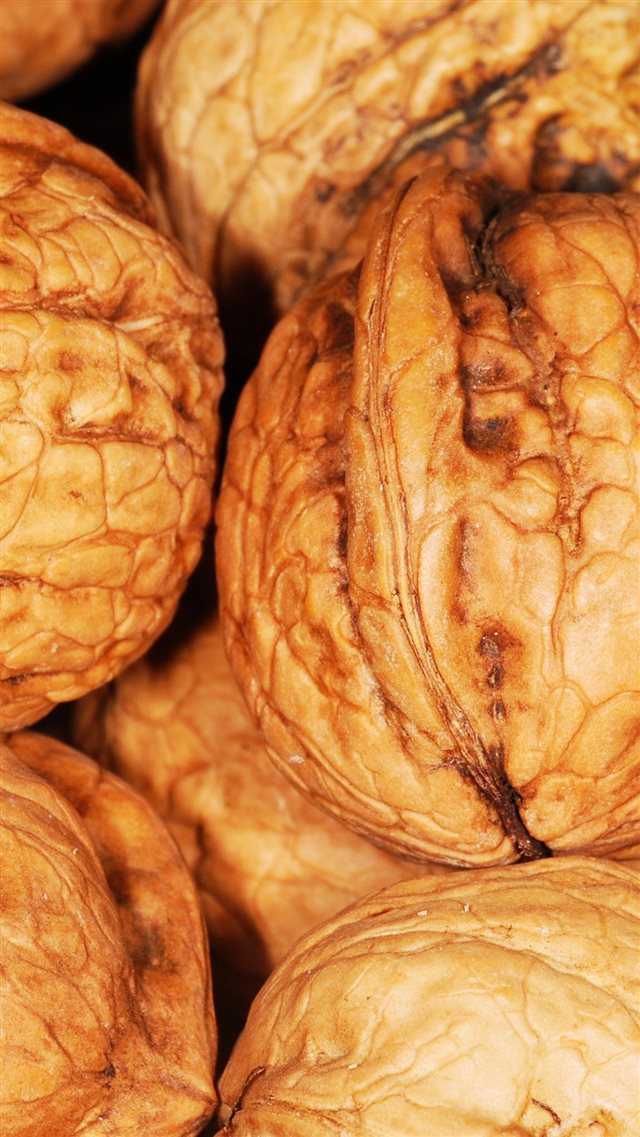 Walnut Shell Nuts iPhone 8 wallpaper 