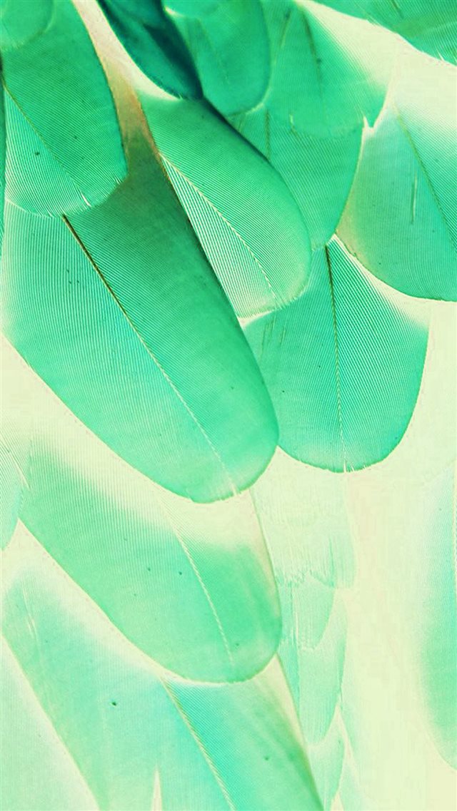 Feather Green Blue Nature Texture Animal Pattern iPhone 8 wallpaper 