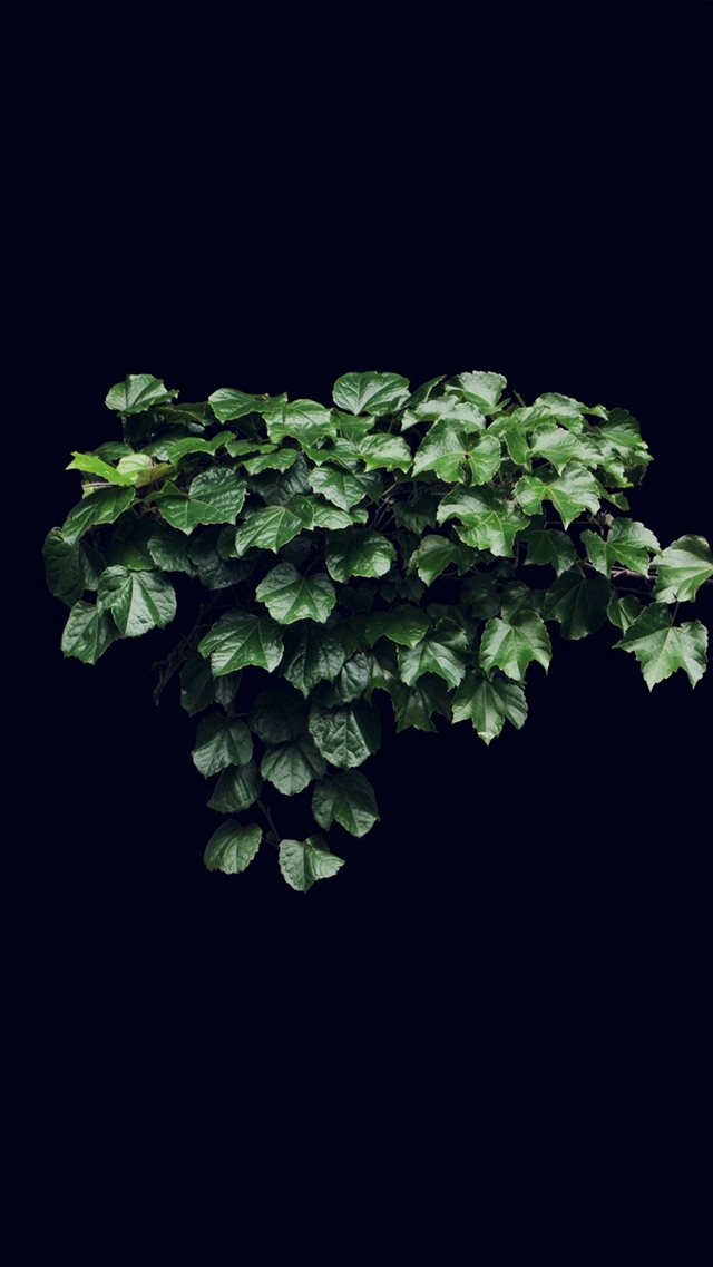Truevine Dark Nature Green Flower Leaf iPhone 8 wallpaper 