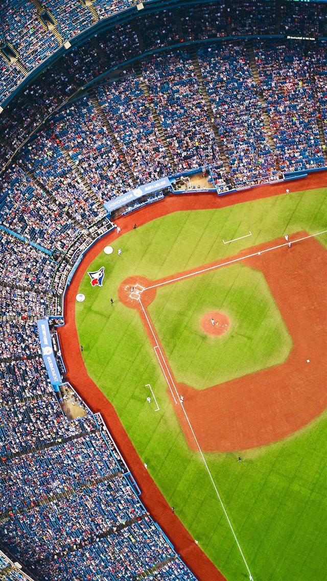 Bluejays Baseball MLB Field Sports iPhone 8 wallpaper 