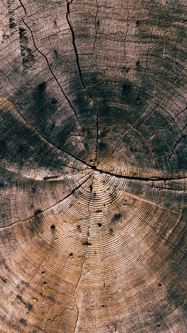 Nature Wood Line Texture Old Dark Pattern iPhone 8 wallpaper 