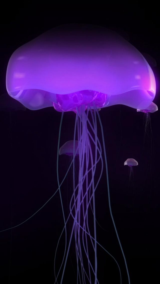 Ocean Undersea Transparent Luminous Jellyfish iPhone 8 wallpaper 