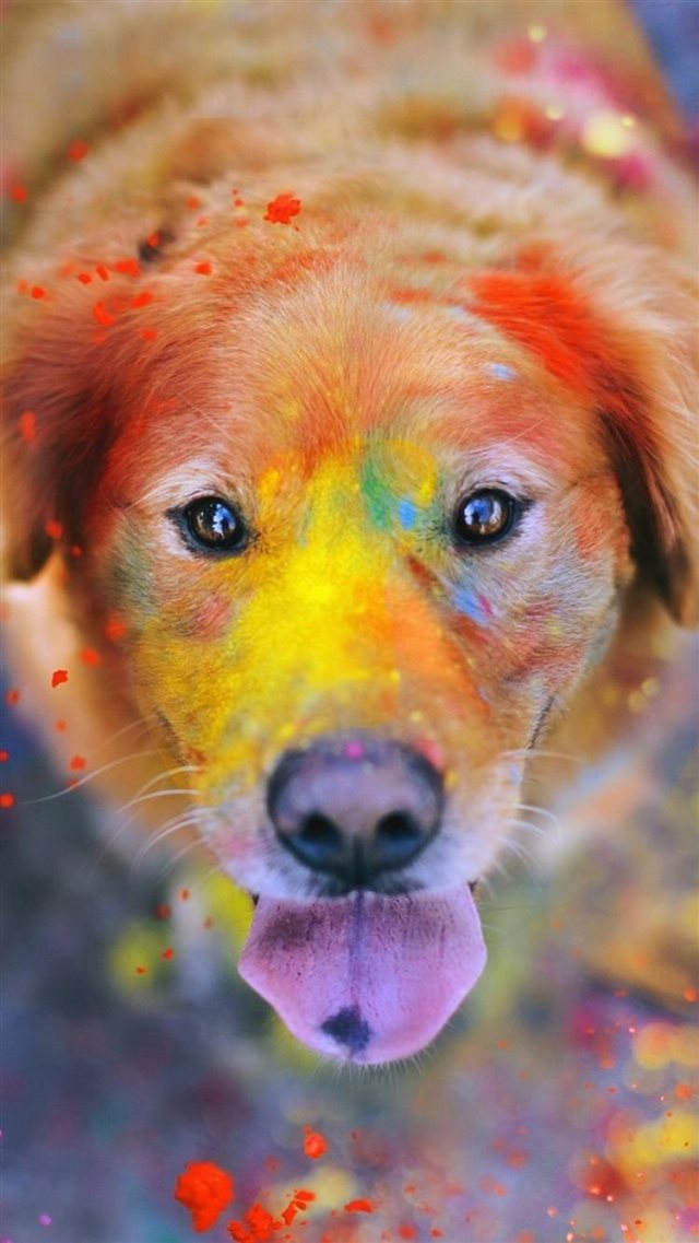 Colorful Paint Giant Dog Animal iPhone 8 wallpaper 