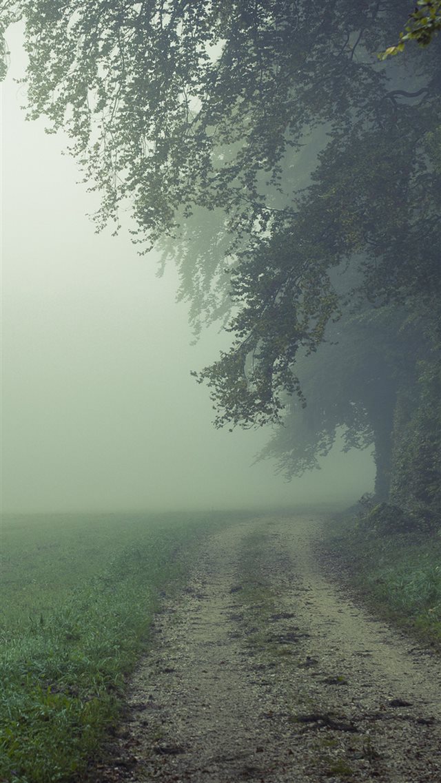 Country Misty Roads iPhone 8 wallpaper 