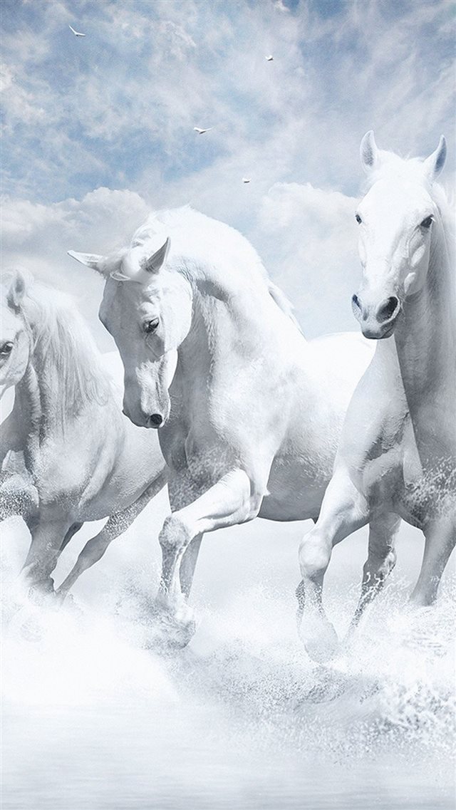 White Horses Water Sky Illustration Art iPhone 8 wallpaper 