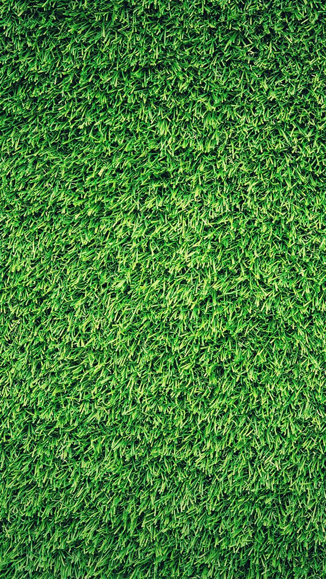 Grass Green Pattern Nature iPhone 8 wallpaper 