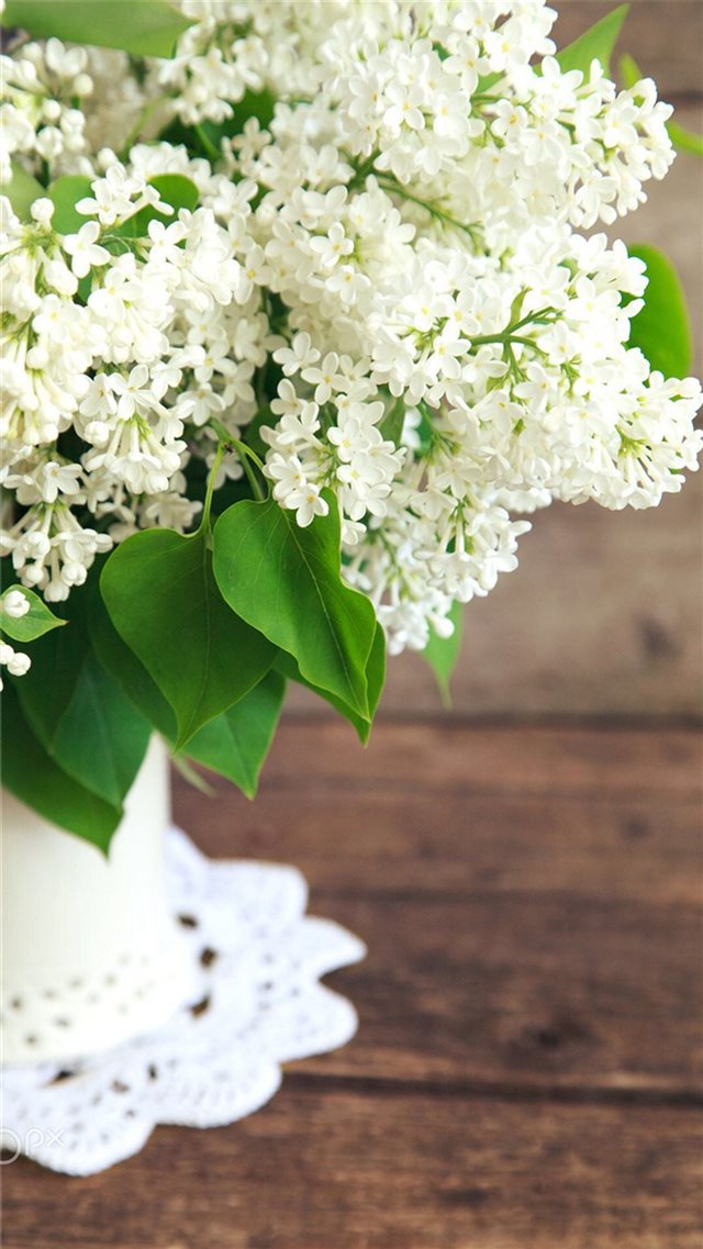 Pure White Flowers Plant Vase iPhone 8 wallpaper 