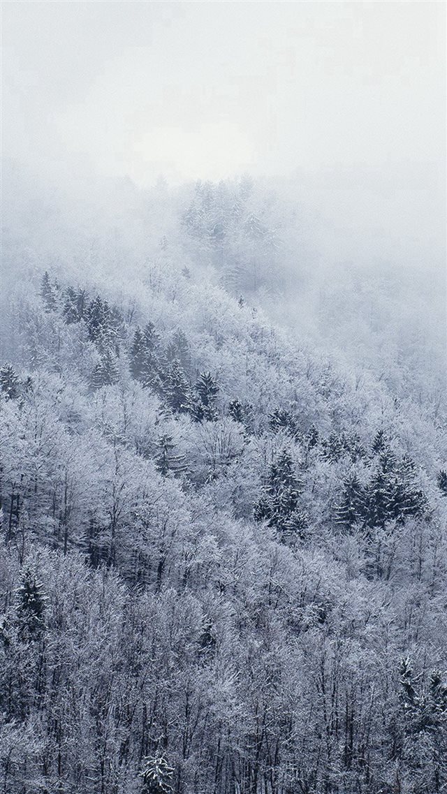 Mountain Wood Winter Christmas White iPhone 8 wallpaper 