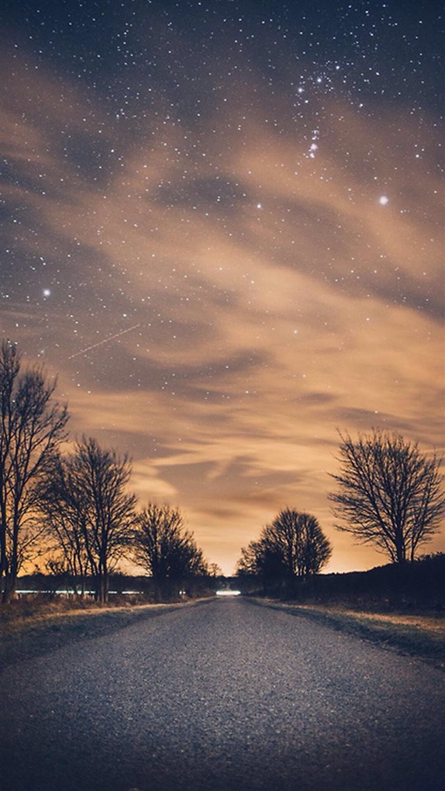 Nature Night Shiny Road Endless Tree Roadside iPhone 8 wallpaper 