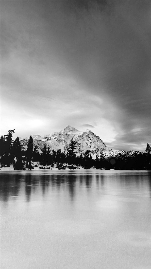 Frozen Lake Winter Snow Wood Forest Cold Bw Dark iPhone 8 wallpaper 