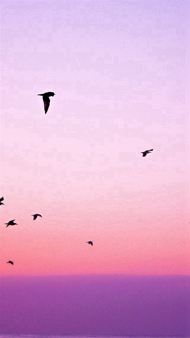 Sky Bird Pink Red Sunset Nature iPhone 8 wallpaper 