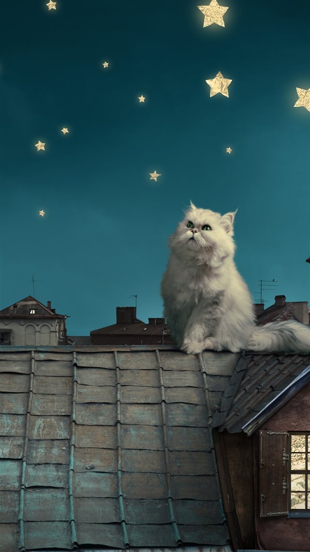 White Persian Cat Kitten Fairy Tale Fantasy Roofs Houses Sky Night Stars Moon iPhone 8 wallpaper 