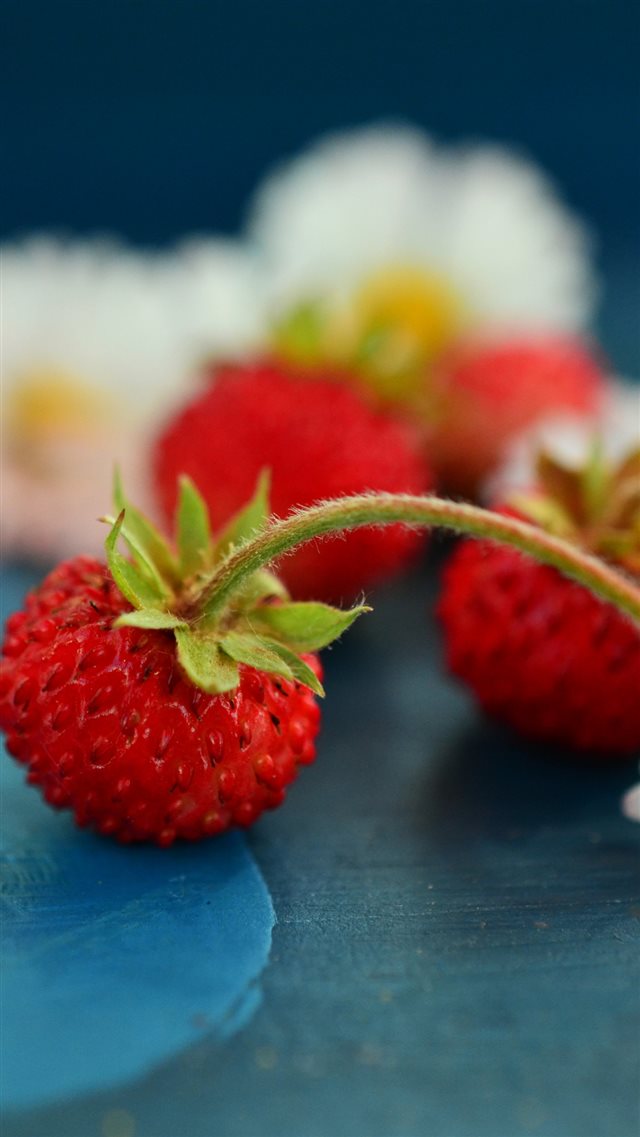 Wild Strawberry Chamomile Berries iPhone 8 wallpaper 