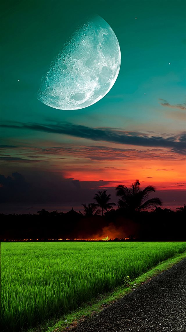 Moon And Sky Grass iPhone 8 wallpaper 
