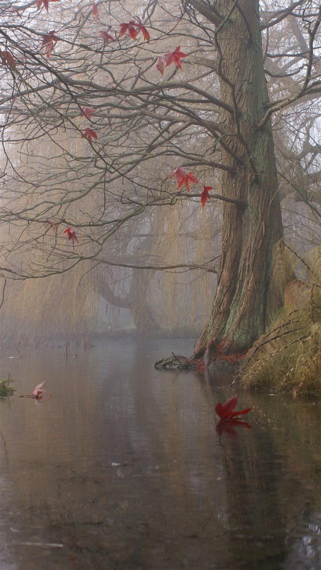 Painting Art Trees Lake Leaves Shrubs Fog iPhone 8 wallpaper 