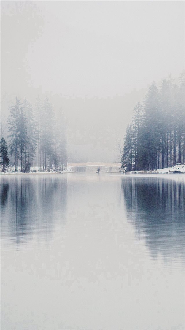 Winter Lake White Blue Wood Nature Fog iPhone 8 wallpaper 