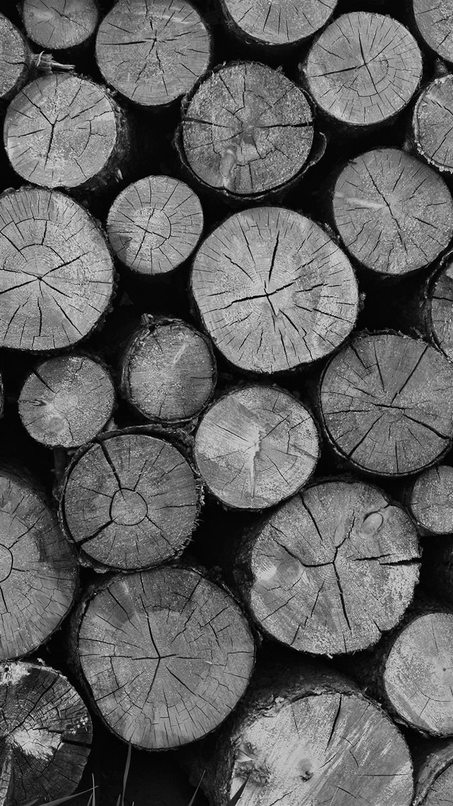 Wood Nature Cut Pattern Dark Bw iPhone 8 wallpaper 