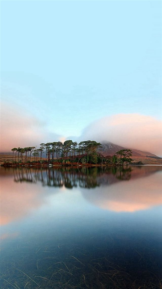 Beautiful Tall Trees Lake Reflection iPhone 8 wallpaper 