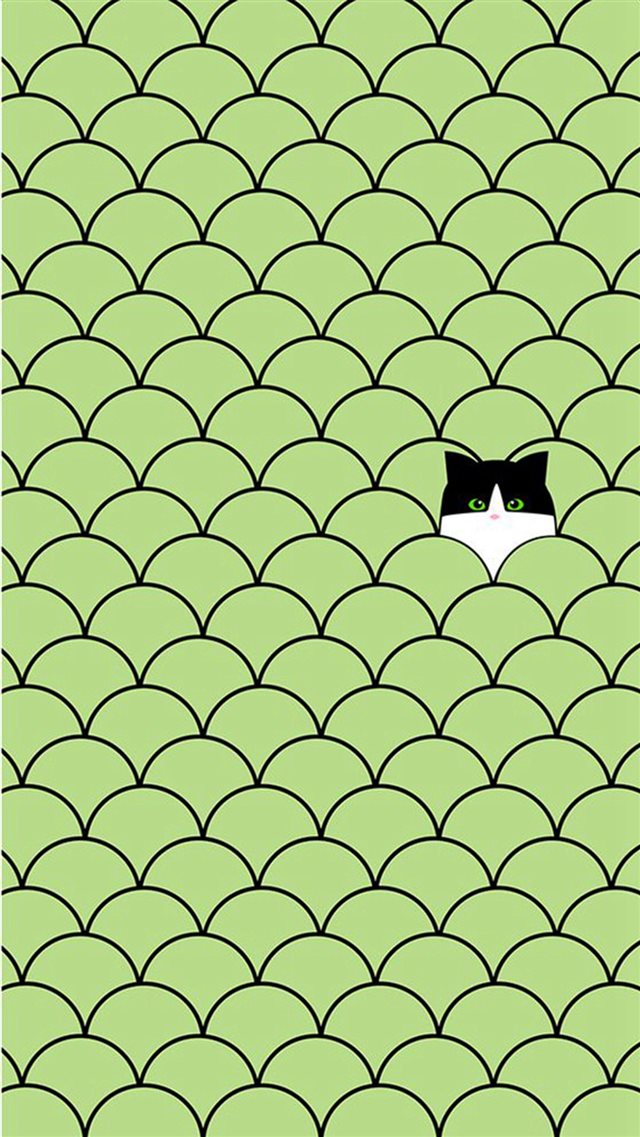 Funny Cat Circles Pattern iPhone 8 wallpaper 