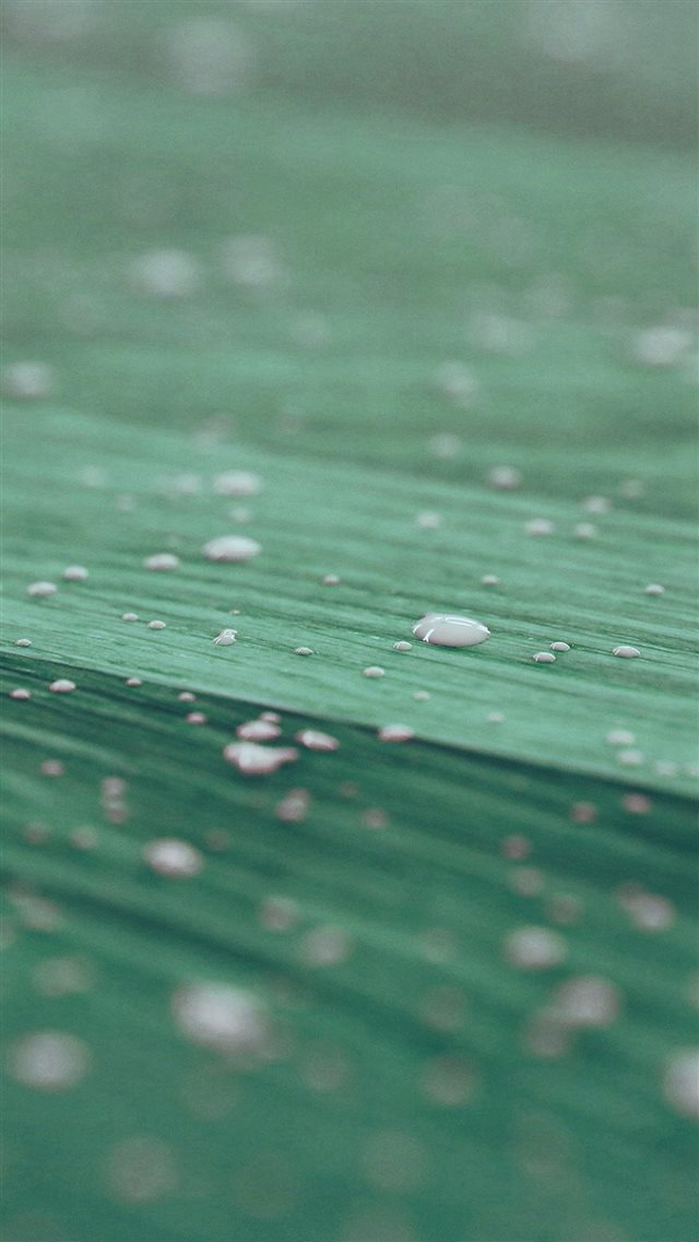 Drops Of Milk On Floor Pattern Nature Green iPhone 8 wallpaper 