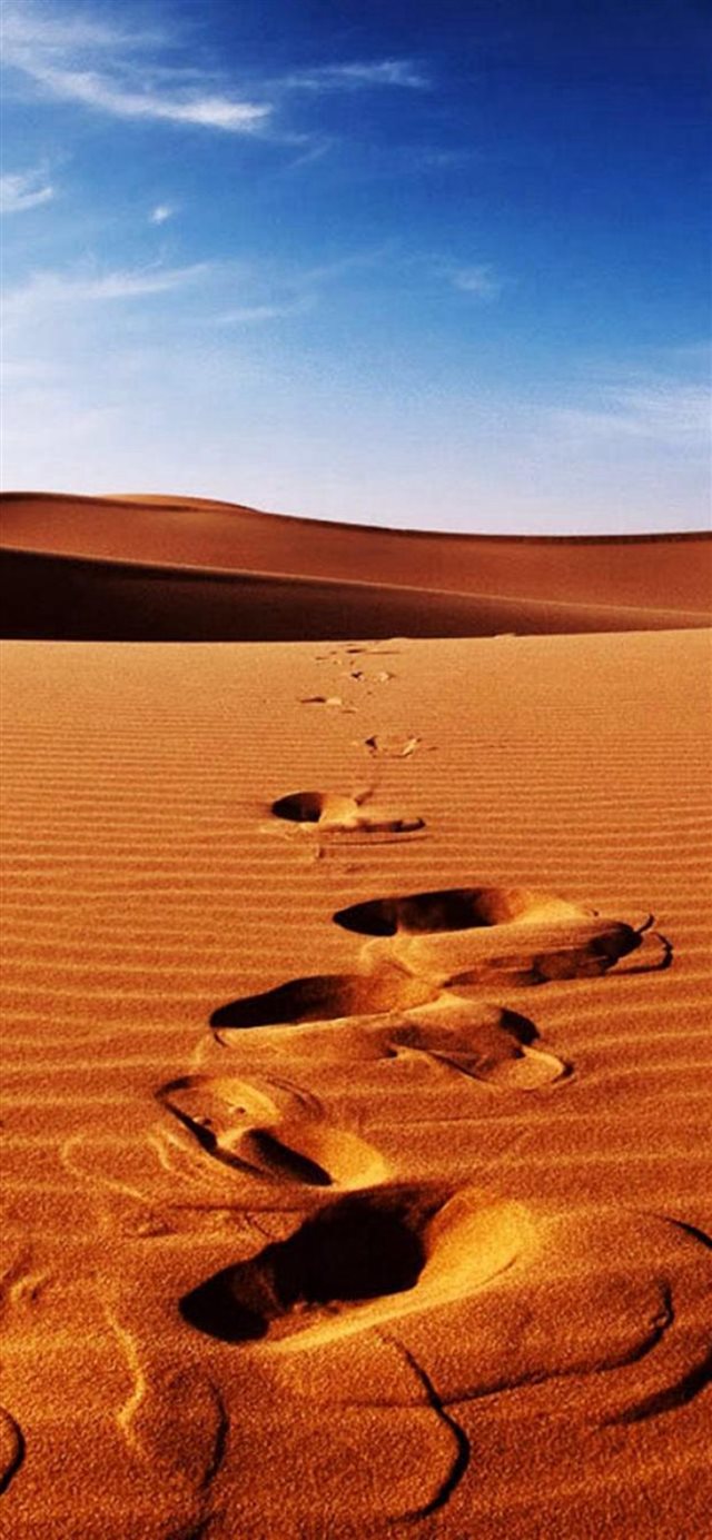 Nature Sunlight Bright Desert Landscape iPhone X wallpaper 
