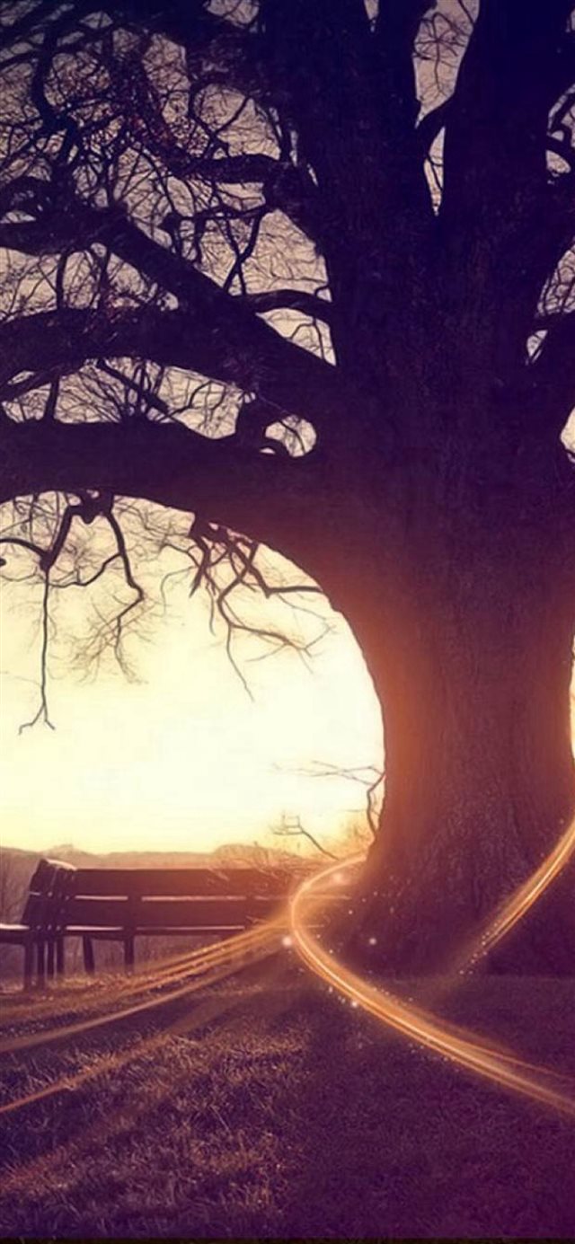 Autumn Bench Sunset Wither Tree iPhone X wallpaper 