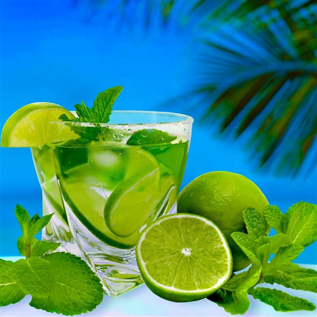 Lime Cocktail Mint Glass iPad Pro wallpaper 