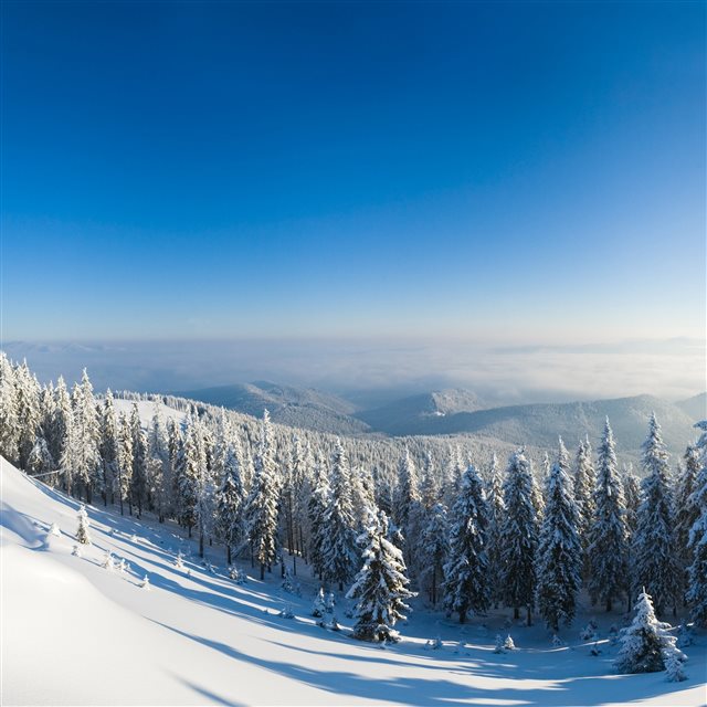 Mountains Snow Trees Slope iPad Pro wallpaper 