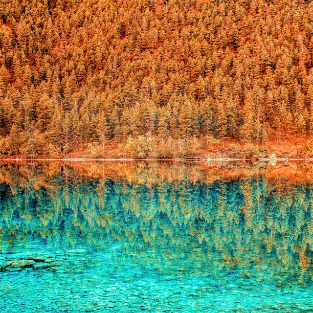 Lake Trees Reflection iPad Pro wallpaper 