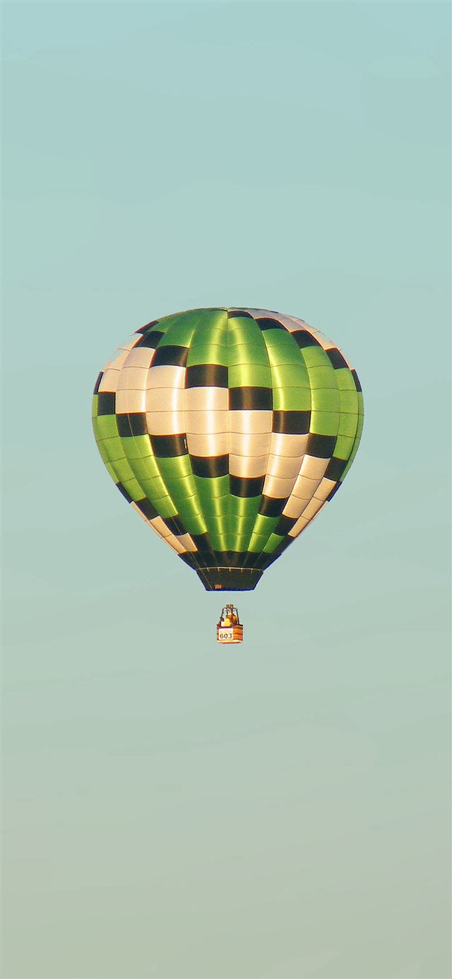 Fly Green Home Balloon iPhone X wallpaper 