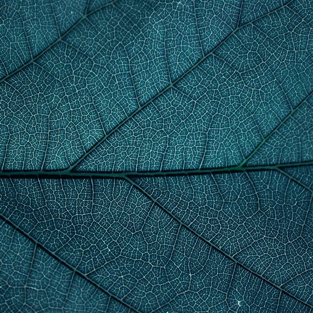 Leaf Blue Dark Nature Texture Pattern iPad Pro wallpaper 