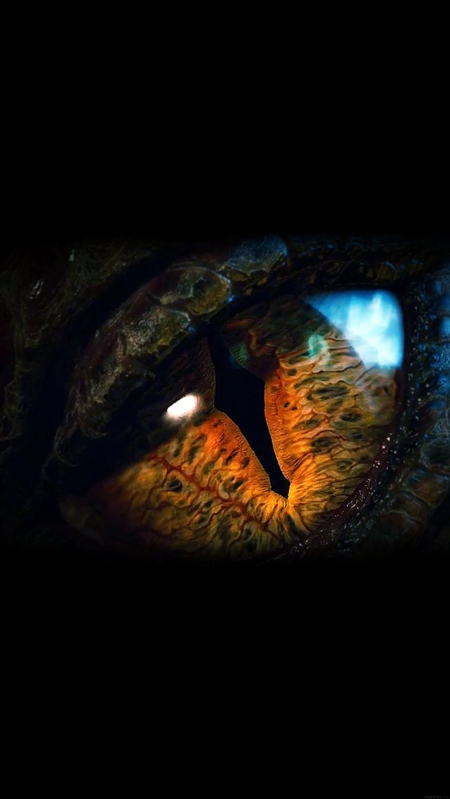 Eye Dragon Film Hobbit The Battle Five Armies Art Dark iPhone 8 wallpaper 