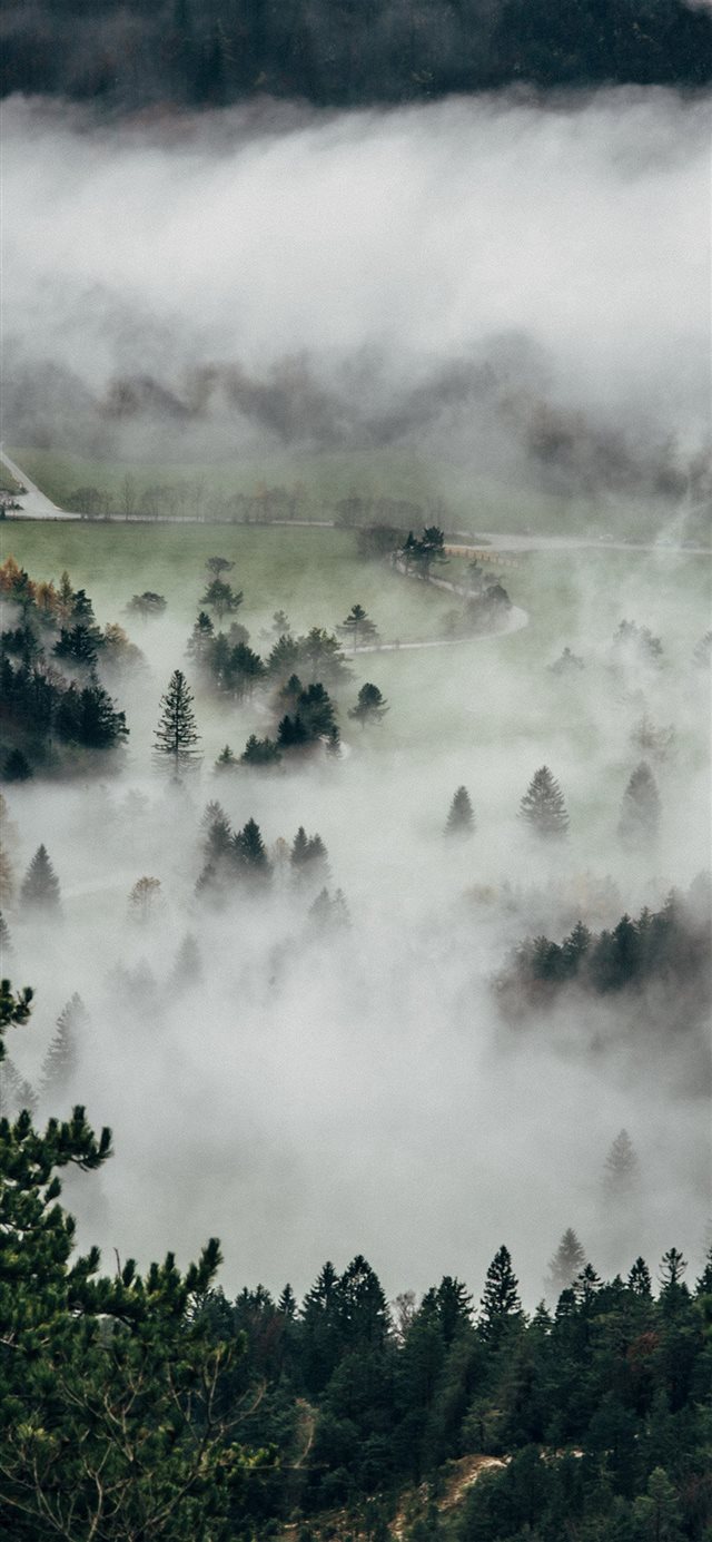 Fog Mountain Dawn Nature Cloud iPhone X wallpaper 