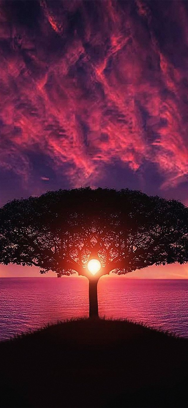 Sea tree purple sky iPhone X wallpaper 
