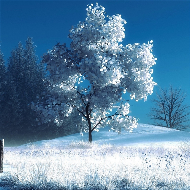 Winter landscape iPad Pro wallpaper 
