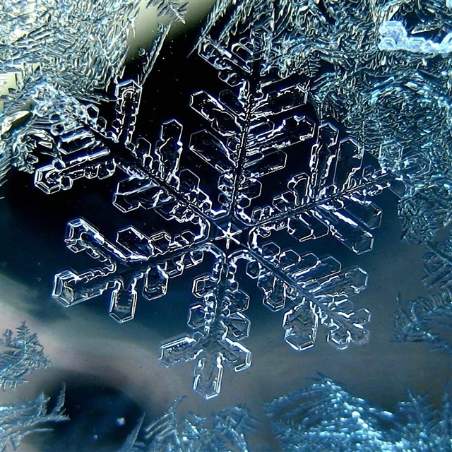 Snowflake winter macro iPad Pro wallpaper 