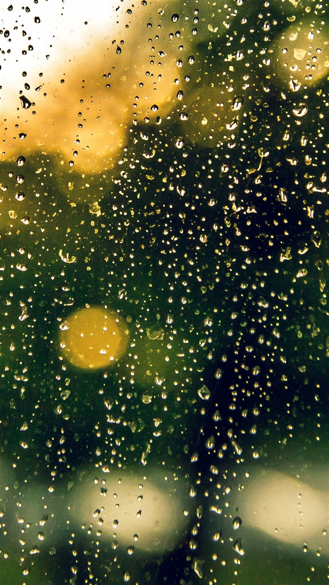 Rain window green iPhone 8 wallpaper 