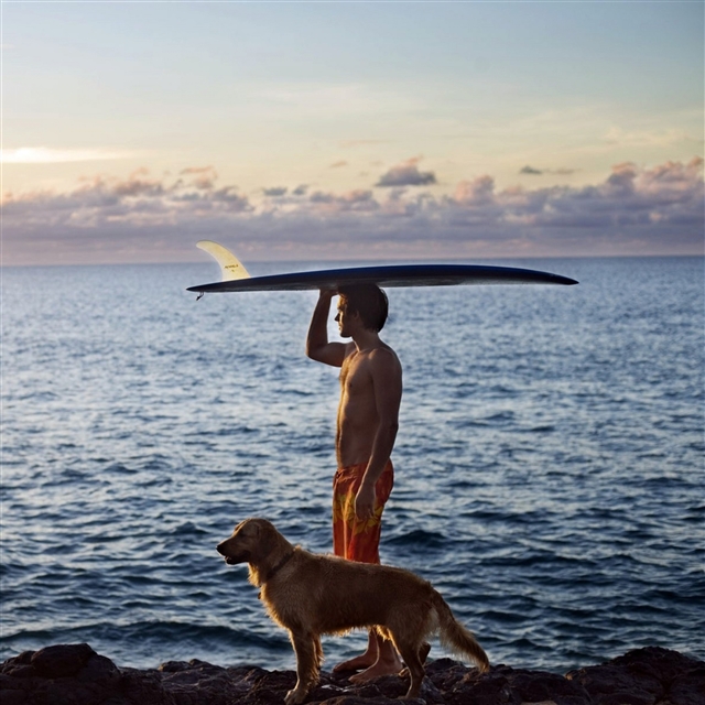 Sea ocean coast dogs surfers iPad Pro wallpaper 