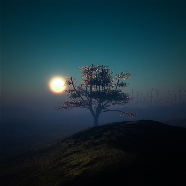 Tree sunset night lights hill iPad Pro wallpaper 