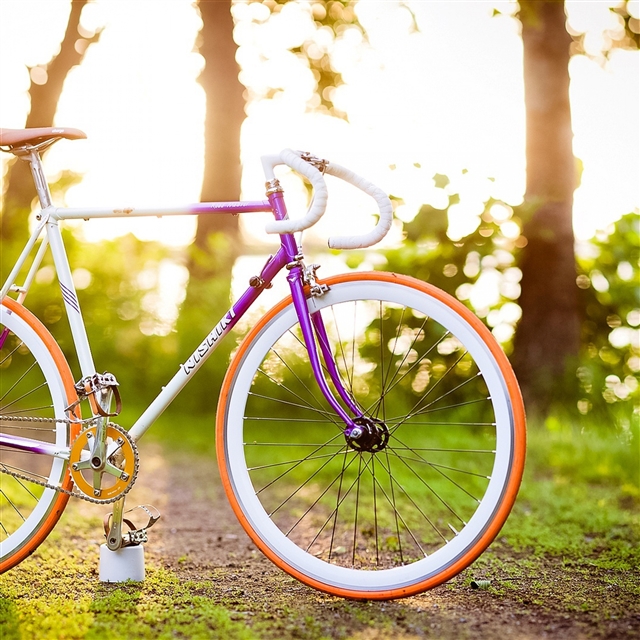 Bike spring sun mood iPad Pro wallpaper 