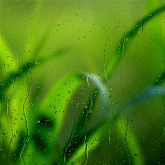 Grass glass rain drops iPad Pro wallpaper 