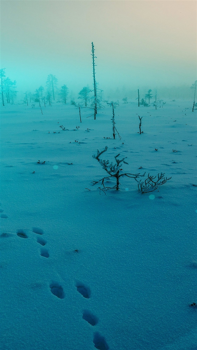 Snow walk winter blue footprints iPhone 8 wallpaper 