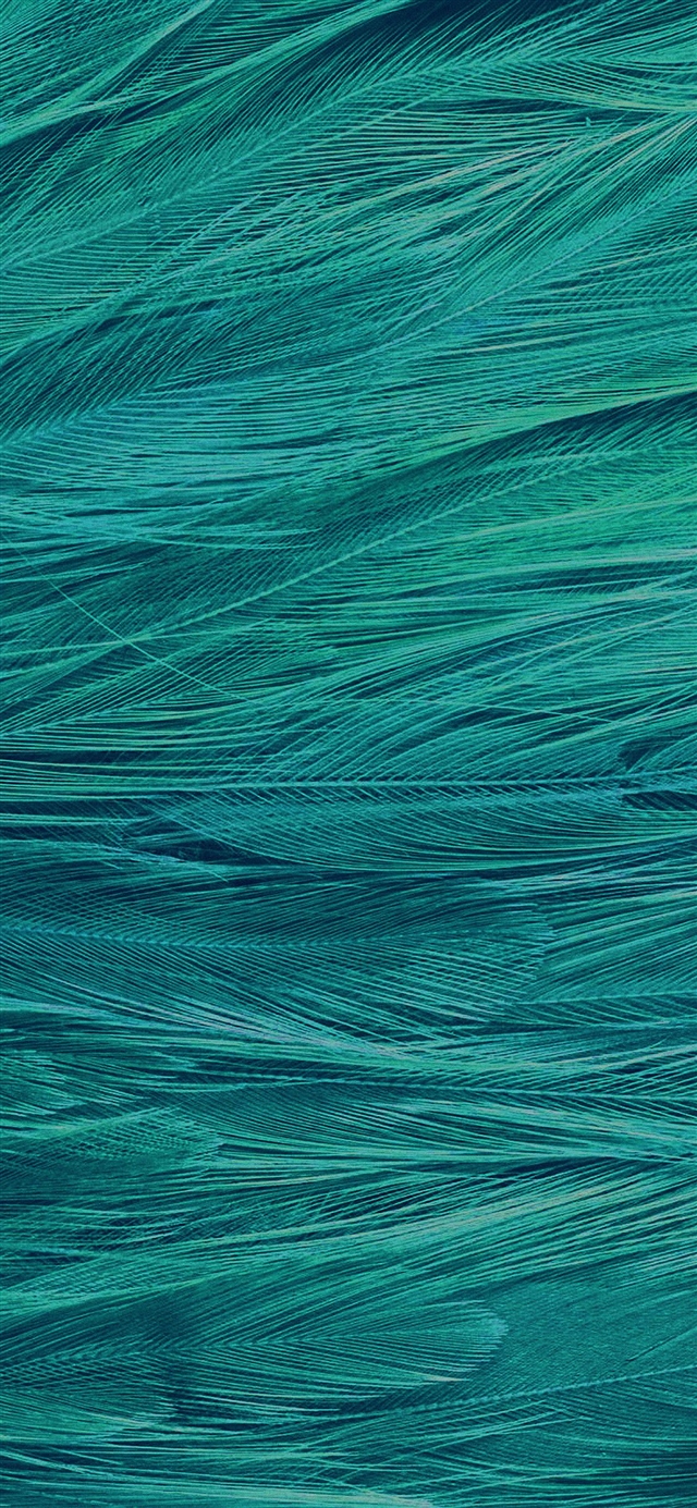 Feather blue bird pattern iPhone X wallpaper 