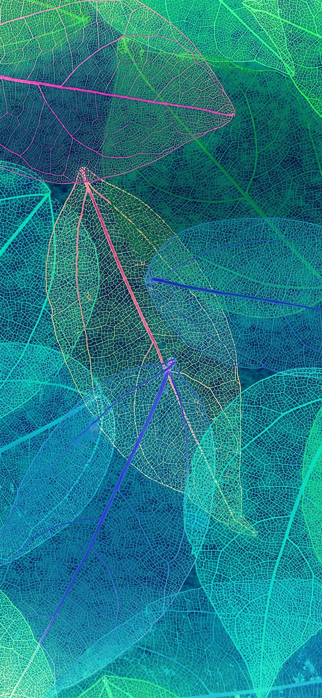 Color blue leaf art fall pattern iPhone X wallpaper 