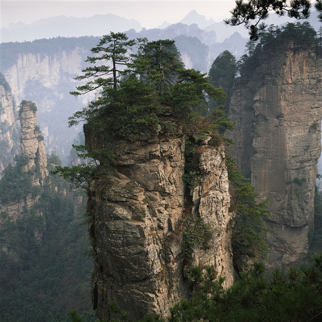 Rocks mountains trees tops vegetation fog coniferous iPad Pro wallpaper 