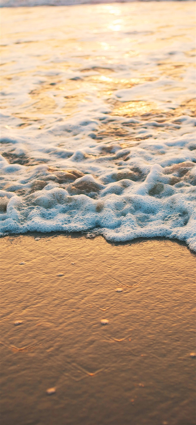 Beach gold sea iPhone X wallpaper 