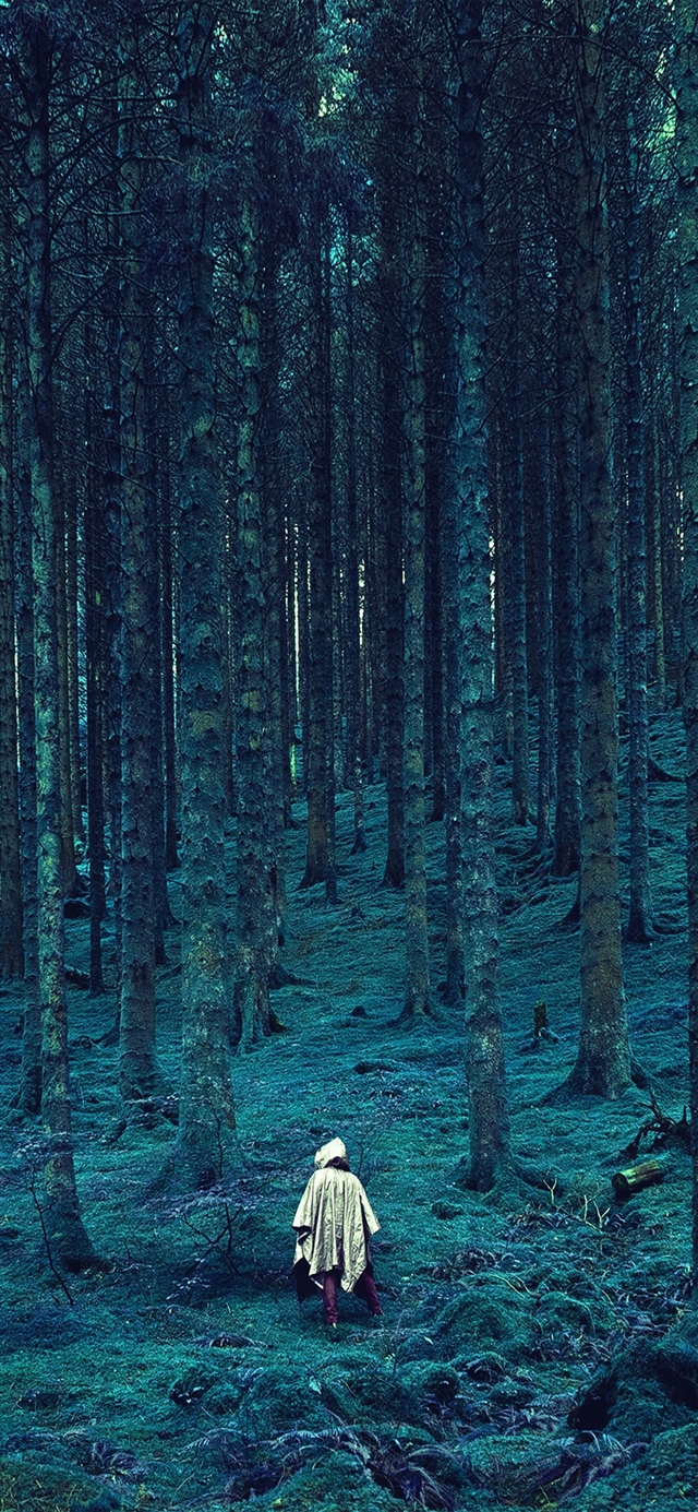 Wood forest blue mountain iPhone X wallpaper 