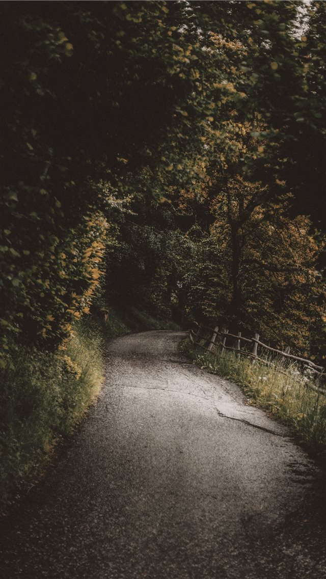 Albions  Italy iPhone 8 wallpaper 