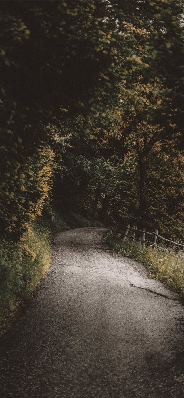 Albions  Italy iPhone X wallpaper 