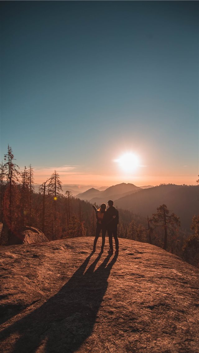 In Awe of Sequoia iPhone 8 wallpaper 